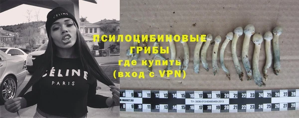 героин Алексин